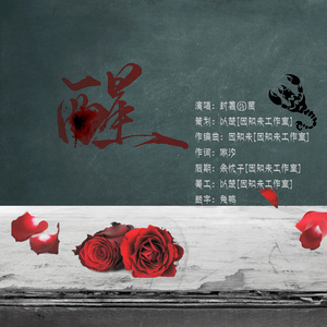 日韩女人大奶头特写视频
