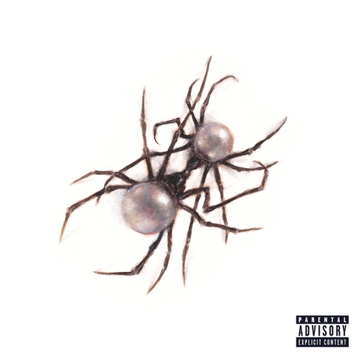 日韩女人大奶头特写视频
